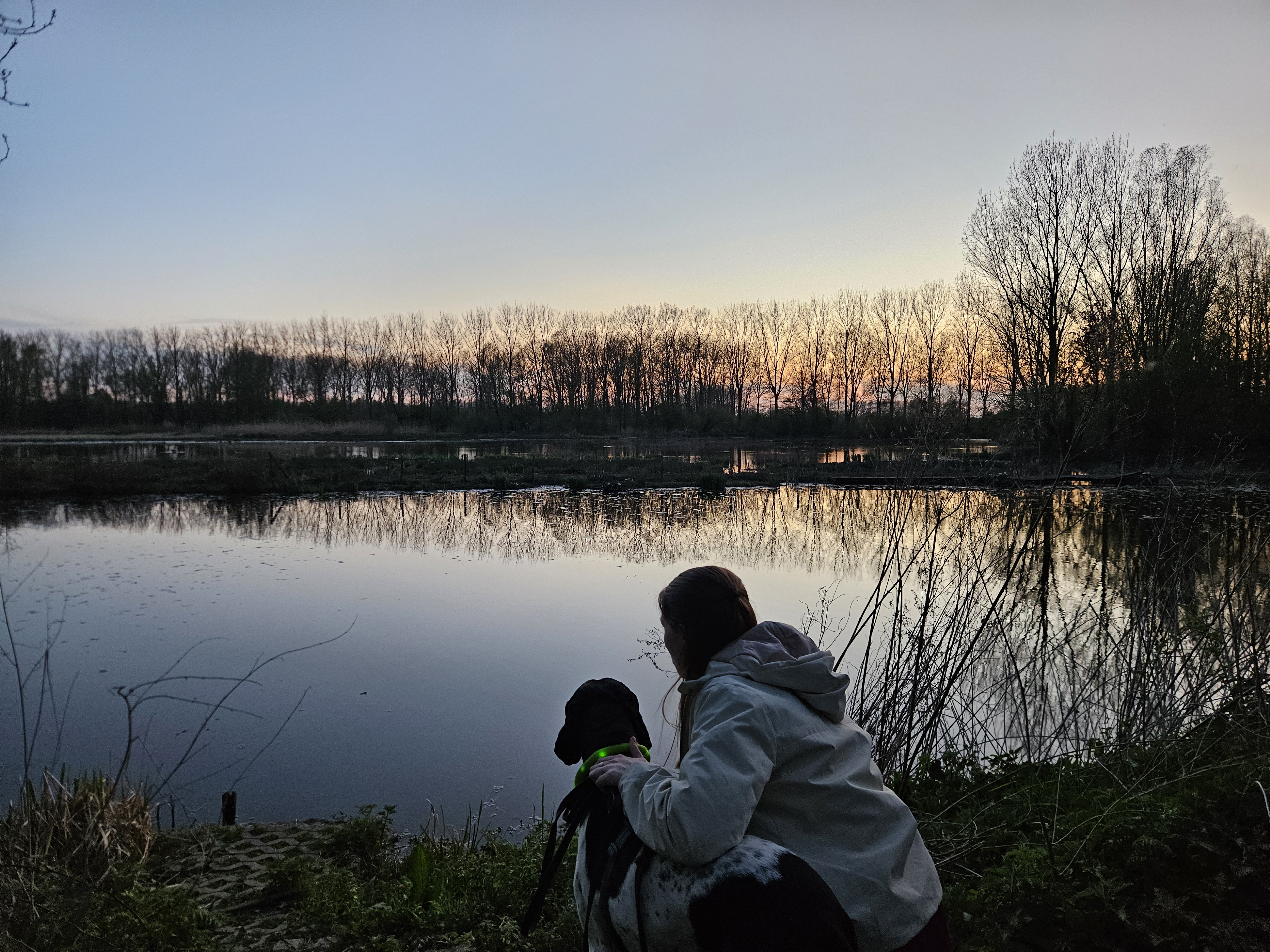 Hond en Mens
